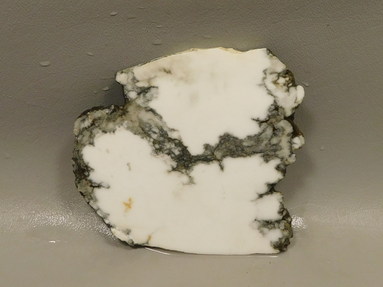Howlite Unpolished Stone Slab White Rough Rock Lapidary #O1