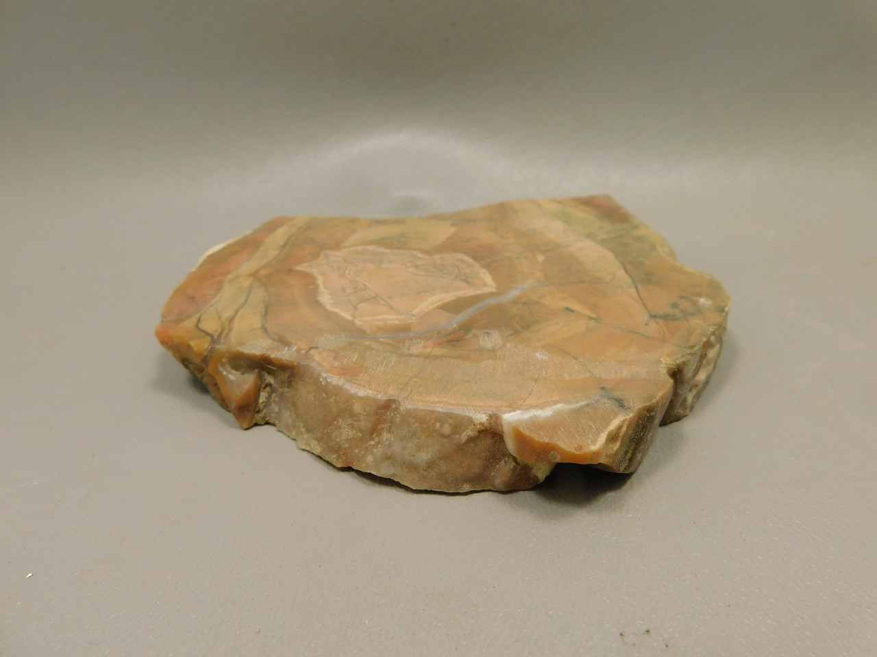 Chapenite Jasper Unpolished Stone Slab Ft. Irwin California #O10