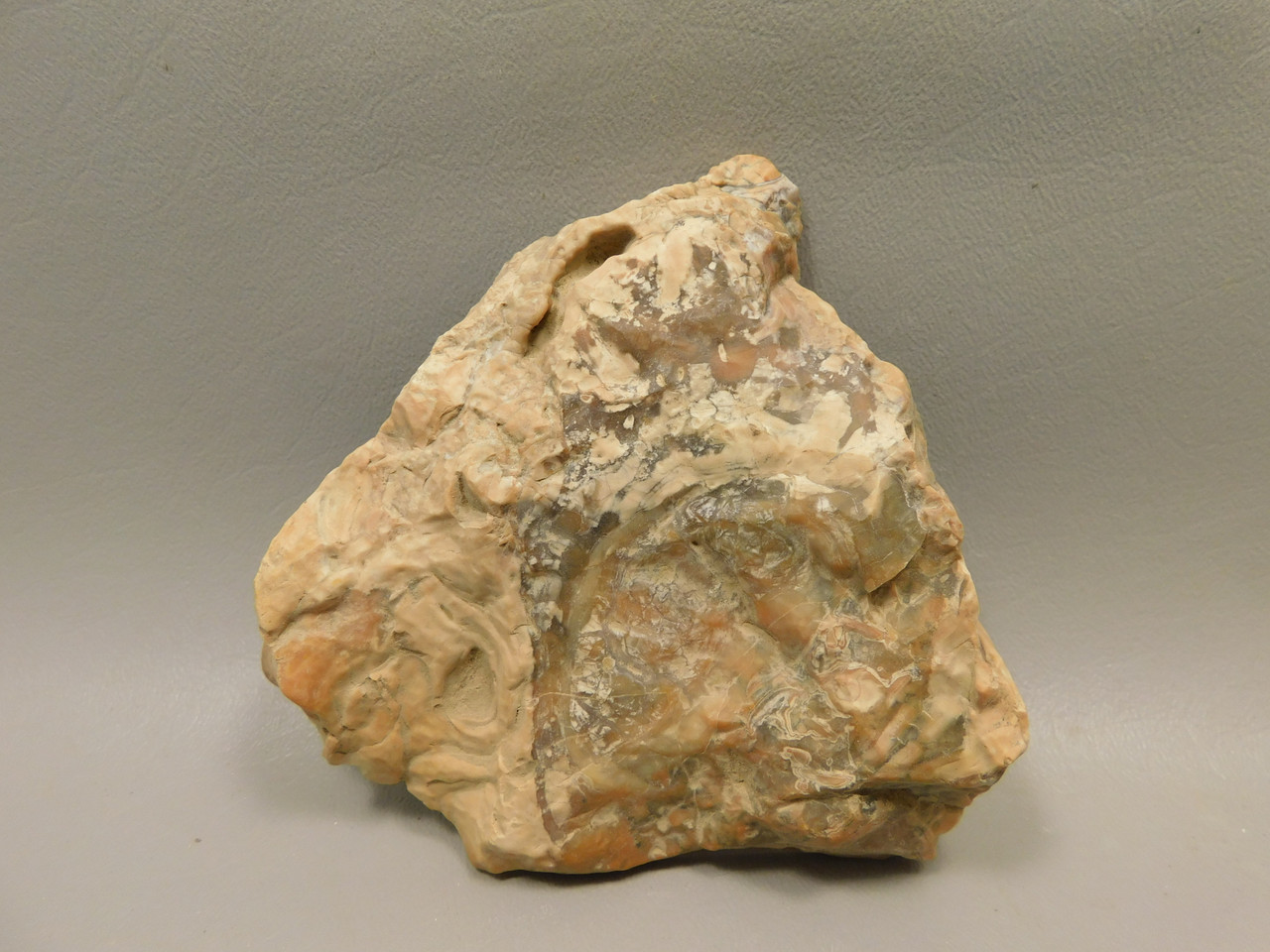 Chapenite Jasper Unpolished Rough Rock Ft. Irwin California #O11