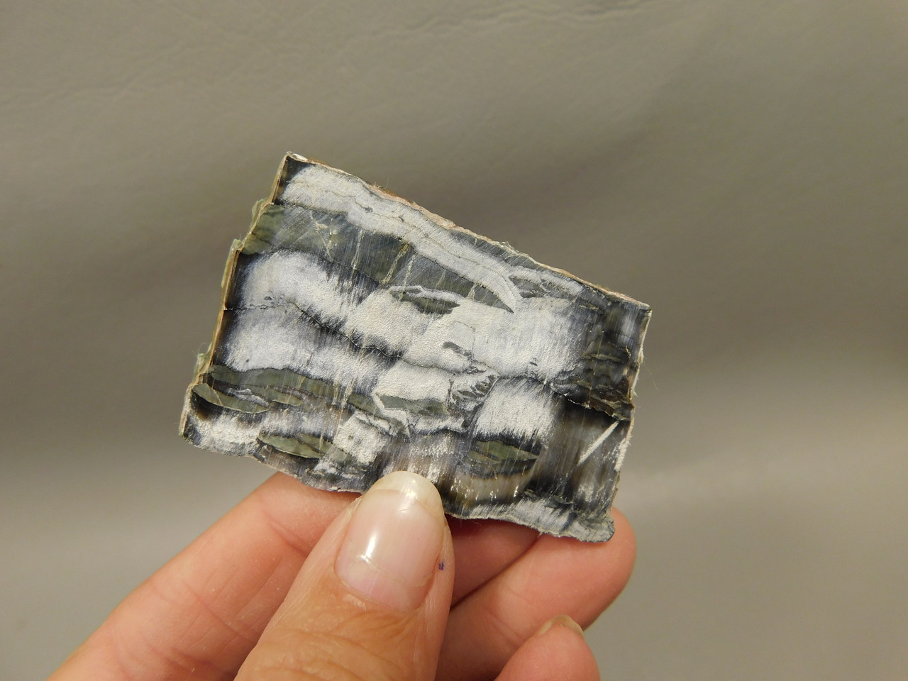 Arizona Pietersite Polished Stone Slab Chatoyant Tiger Eye #O11