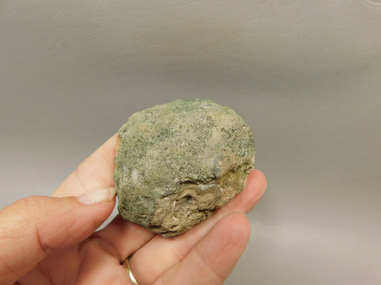 Owls Hole Agate Unpolished Rough Rock Sagenite Death Valley #O1