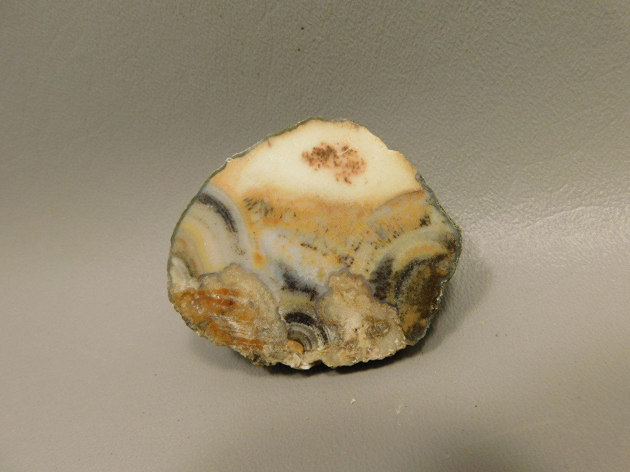 Owls Hole Agate Unpolished Rough Rock Sagenite Death Valley #O1