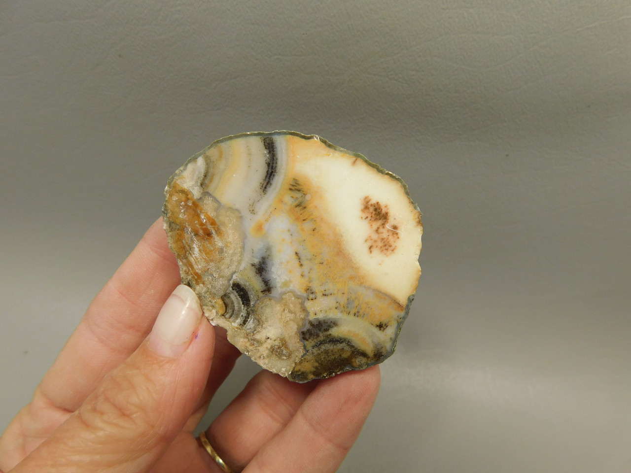Owls Hole Agate Unpolished Rough Rock Sagenite Death Valley #O1