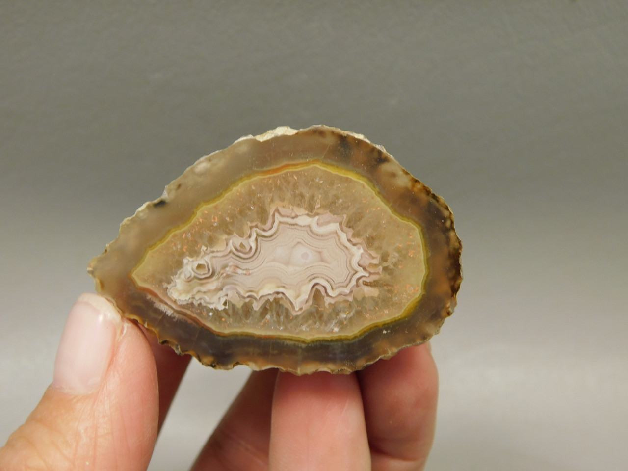 Laguna Agate Polished Stone Nodule Collector Banded Rock #O27