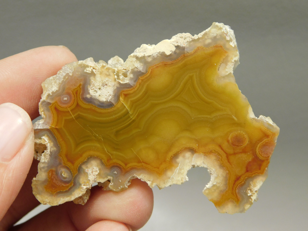 Laguna Agate Polished Stone Nodule Collector Banded Rock #O20