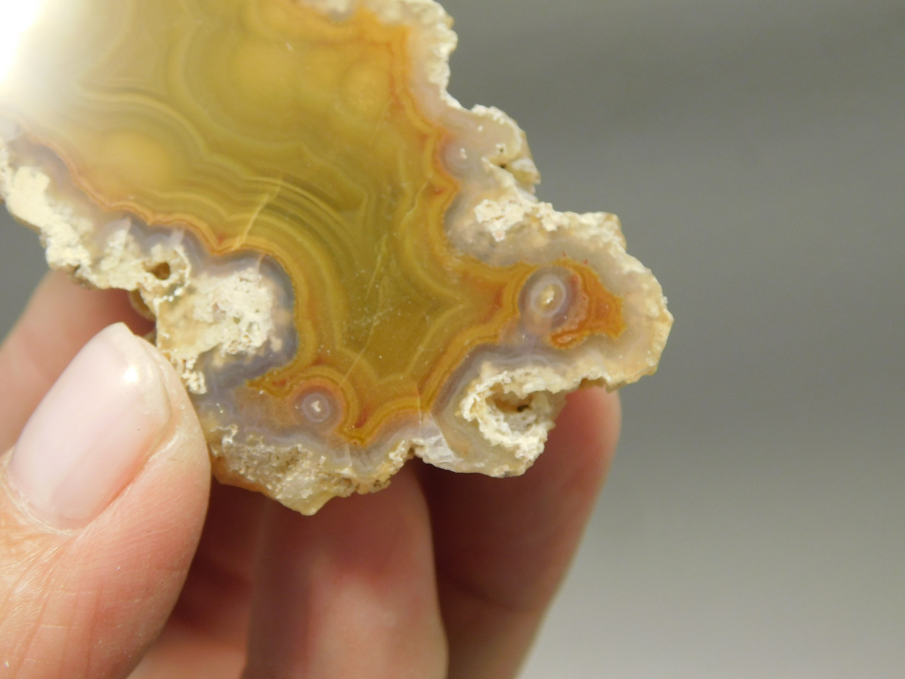 Laguna Agate Polished Stone Nodule Collector Banded Rock #O20
