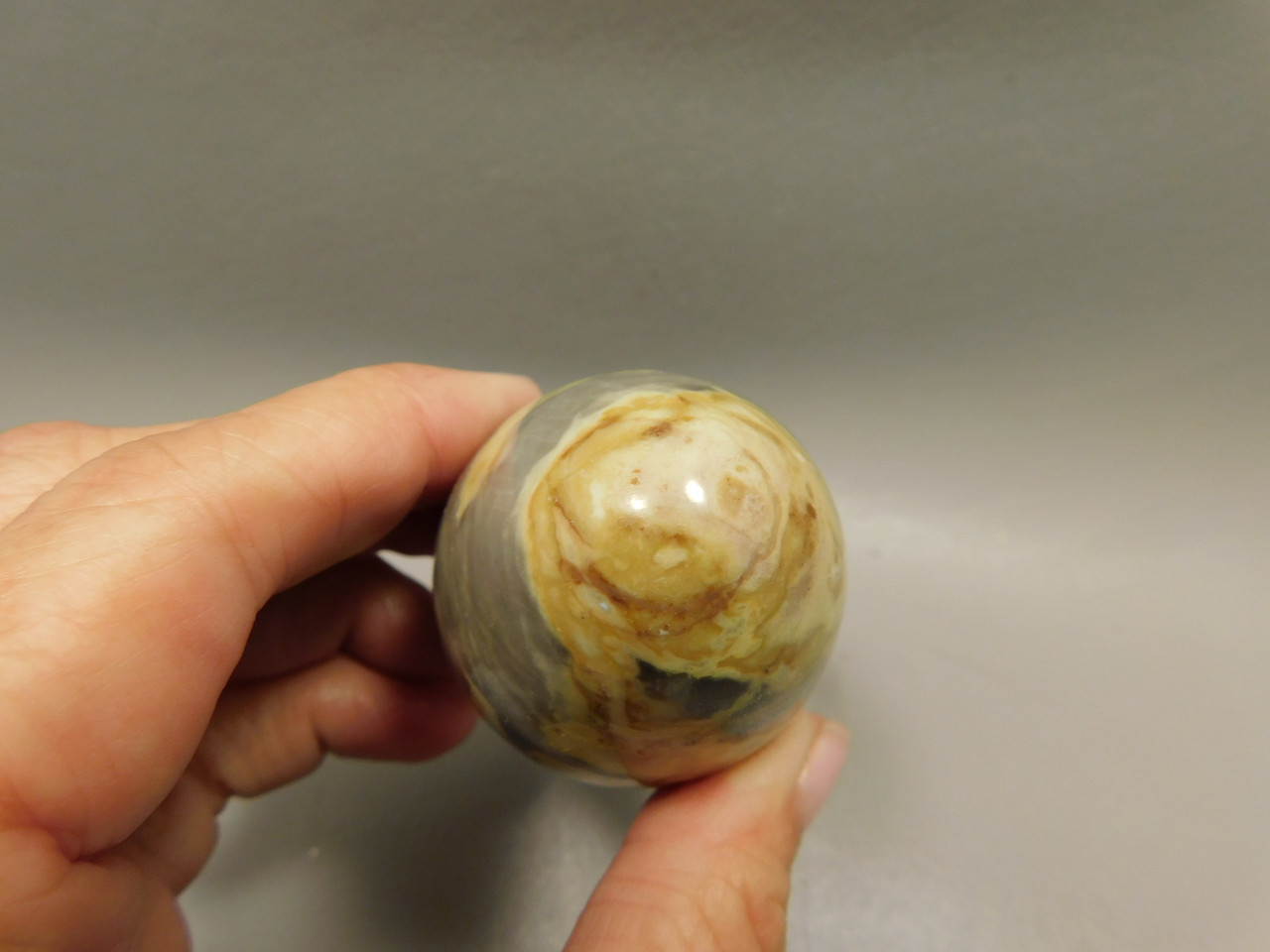 Devalite Stone Egg Serpentine & Augite Carved Rock Arizona #O3