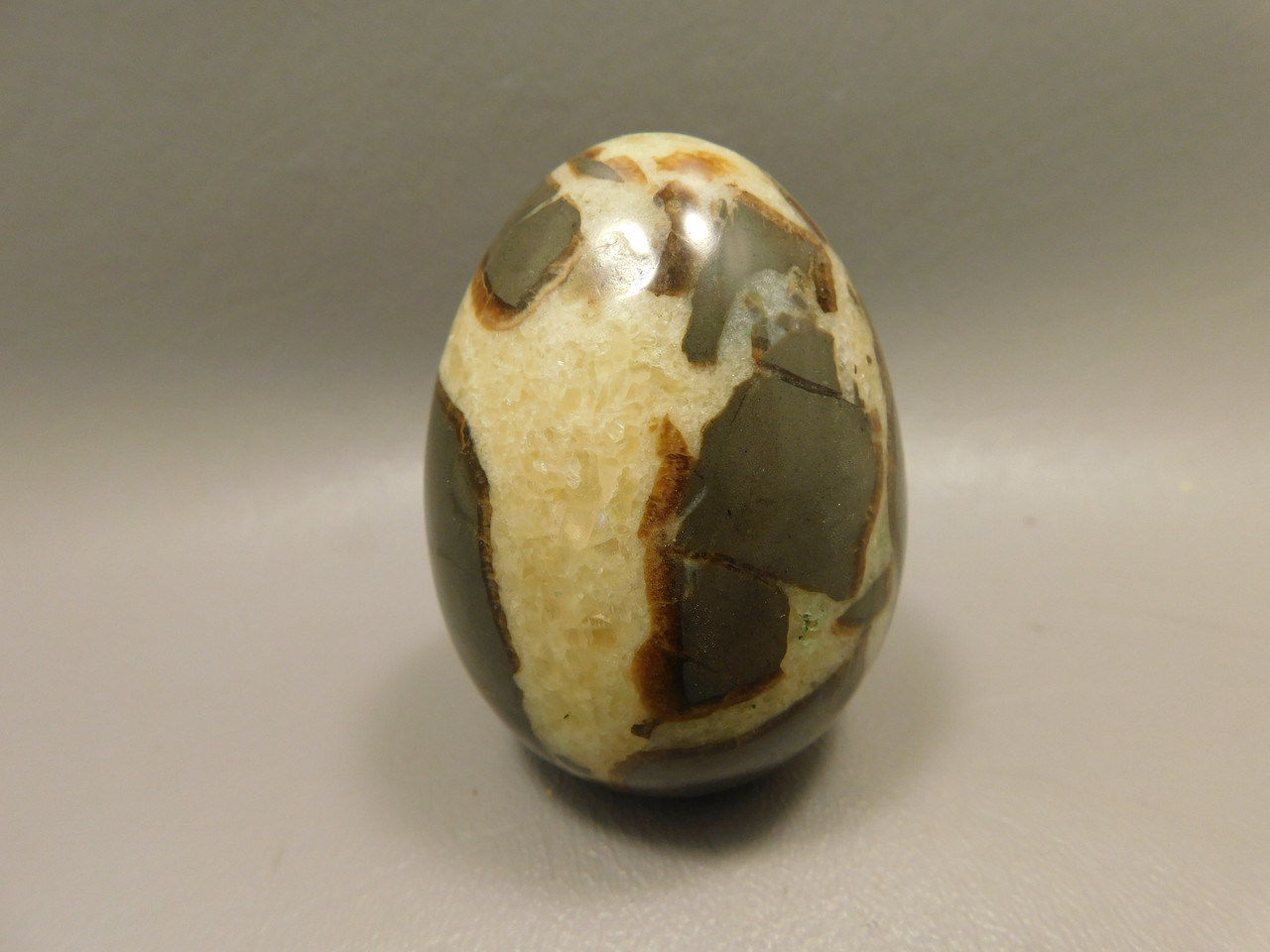 Septarian Nodule Egg Shaped 2.4 inch Polished Rock Utah Stone #O1