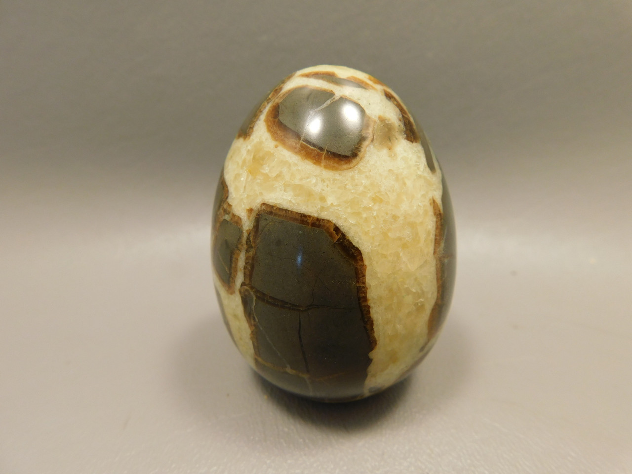 Septarian Nodule Egg Shaped 2.4 inch Polished Rock Utah Stone #O1