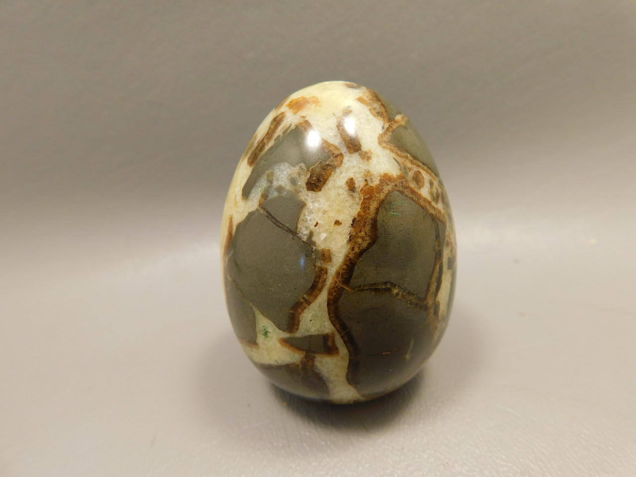 Septarian Nodule Egg Shaped 2.4 inch Polished Rock Utah Stone #O1