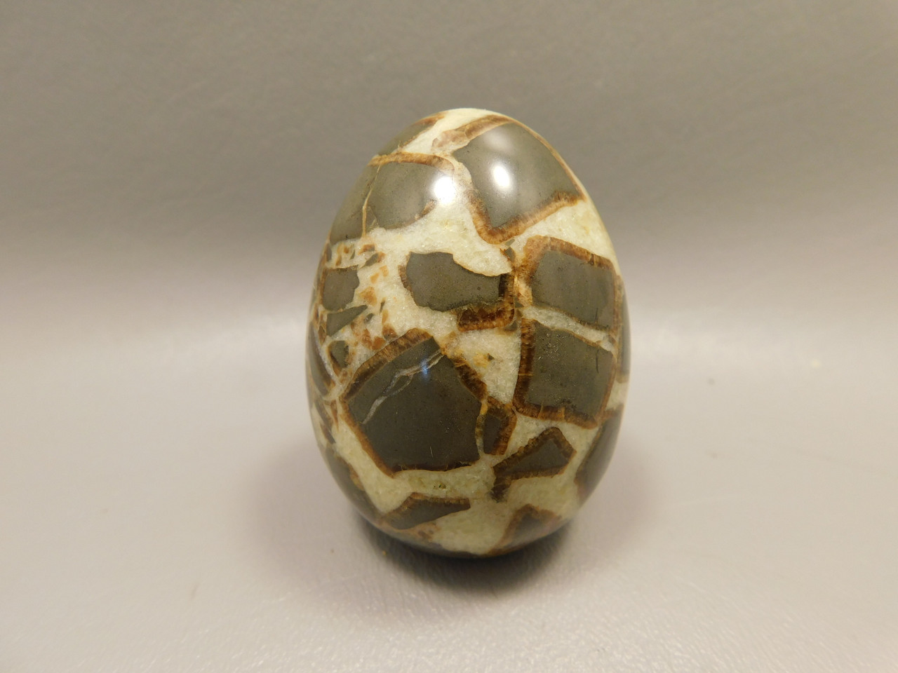 Septarian Nodule Egg Shaped 2.4 inch Polished Rock Utah Stone #O1