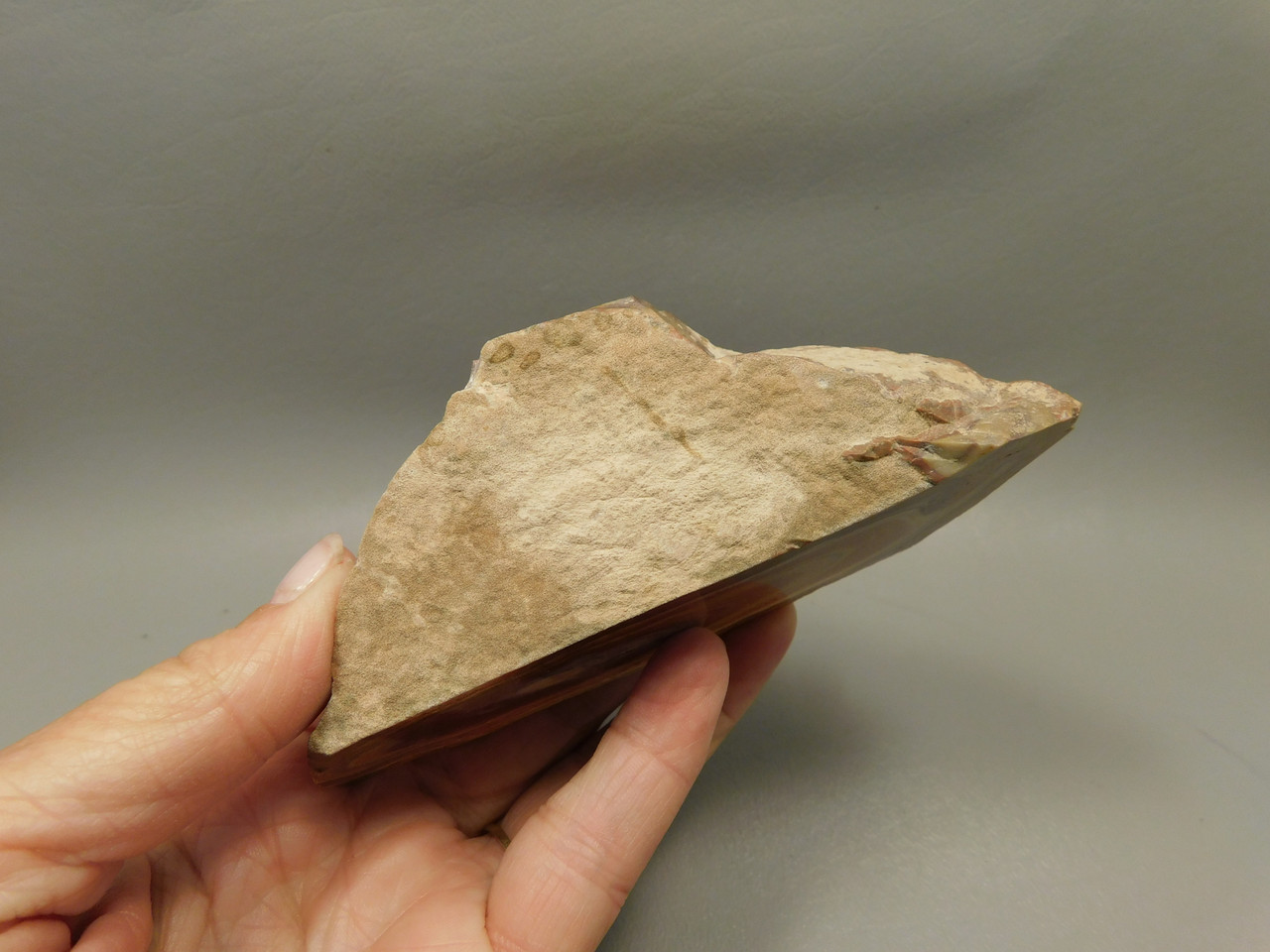 Wonderstone Rhyolite Pink Banded Polished Rock Utah #O11