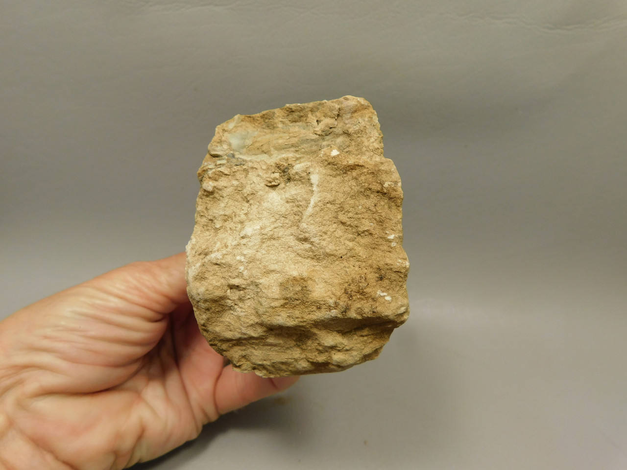 Succor Creek Jasper Unpolished Rough Rock Lapidary #O1