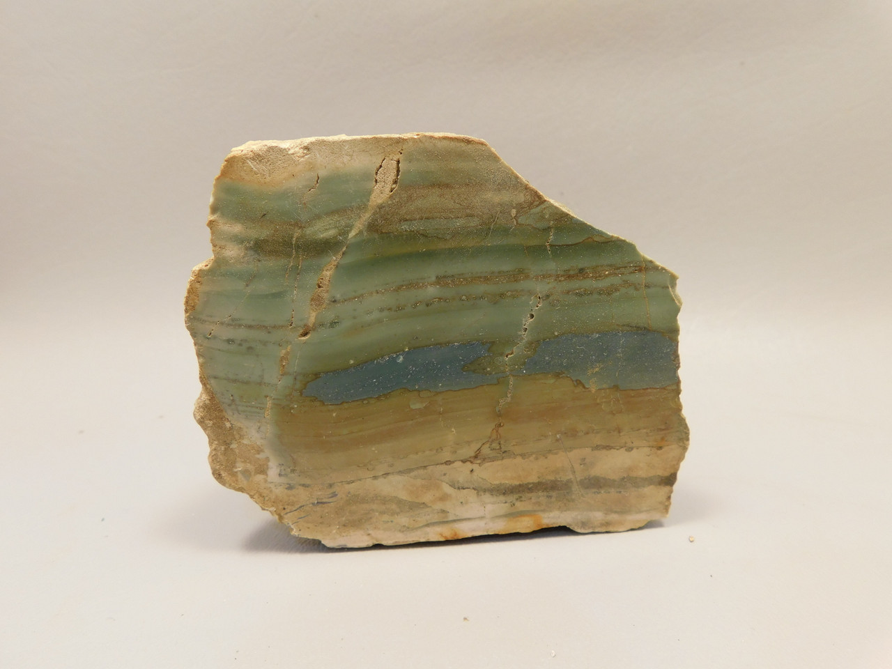 Succor Creek Jasper Unpolished Rough Rock Lapidary #O1