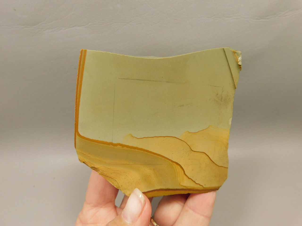 Succor Creek Jasper Unpolished Rough Rock Lapidary #O2