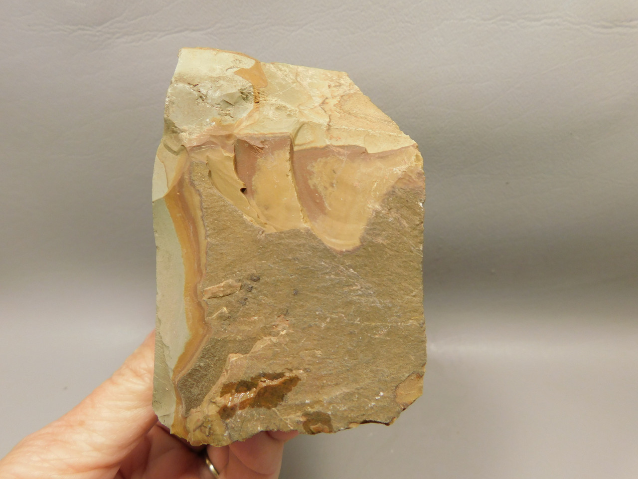 Succor Creek Jasper Unpolished Rough Rock Lapidary #O2