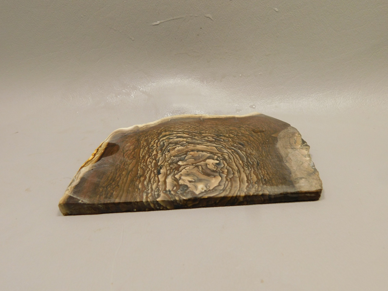 Deschutes Jasper Stone Slab Unpolished Rough Rock Oregon #O3