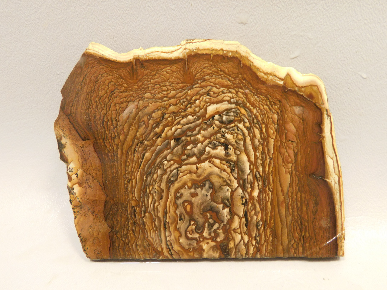 Deschutes Jasper Stone Slab Unpolished Rough Rock Oregon #O3