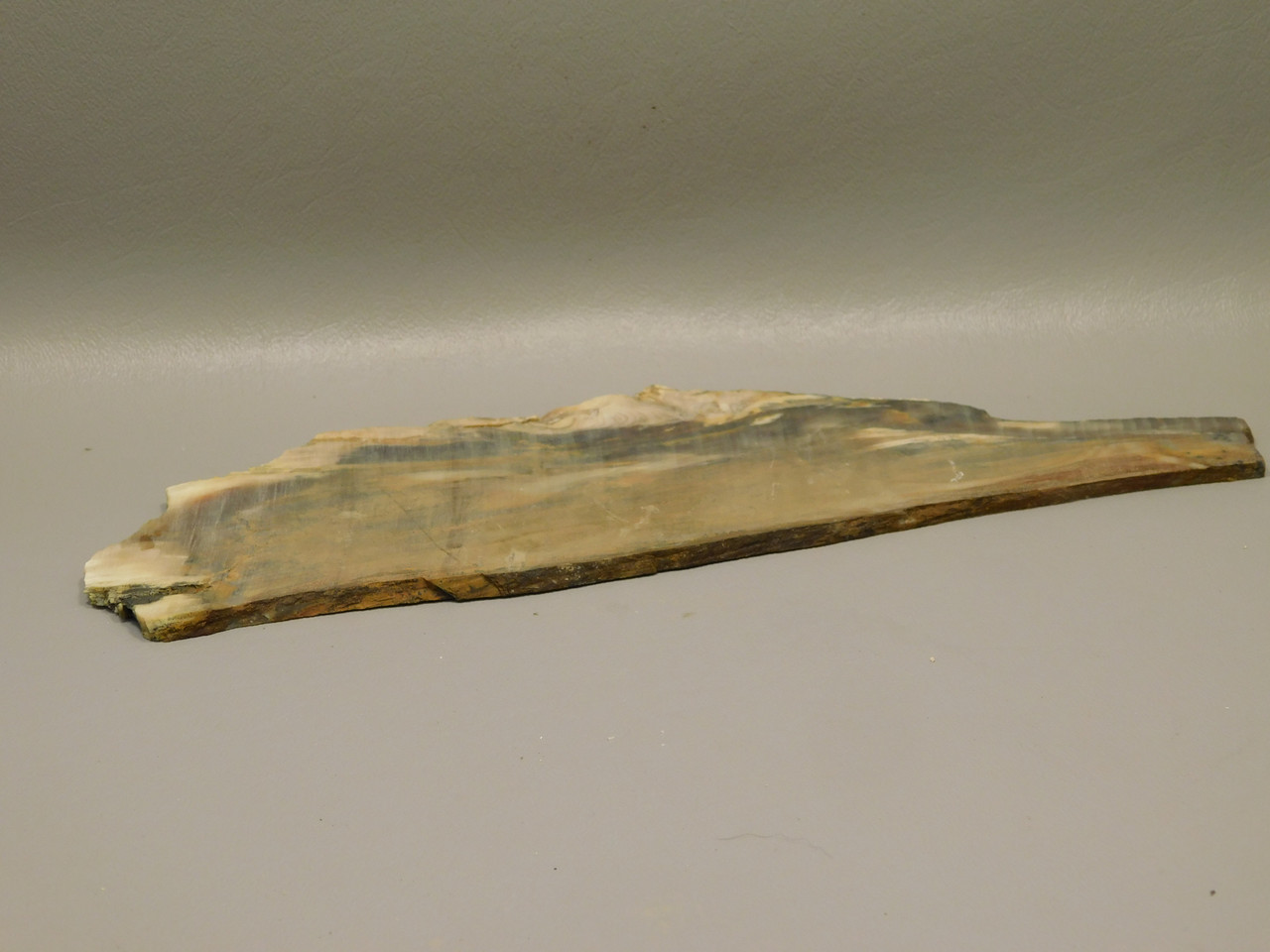 Petrified Wood Unpolished Slab Saddle Mountain Washington #O13