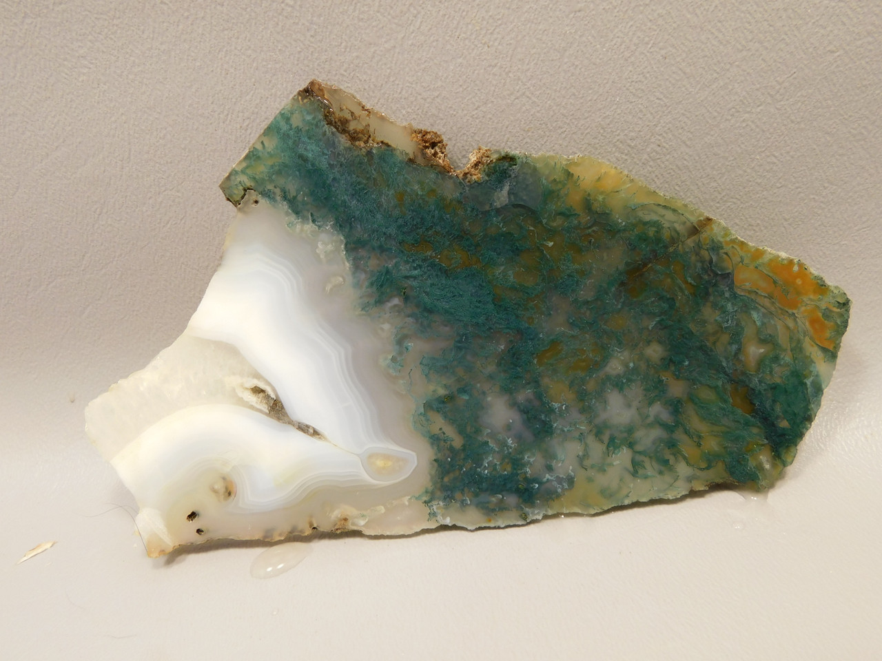 Maury Mountain Moss Agate Unpolished Stone Slab Rough Rock #O2