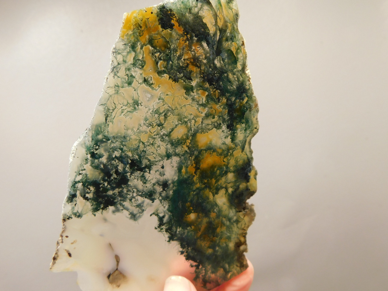 Maury Mountain Moss Agate Unpolished Stone Slab Rough Rock #O3