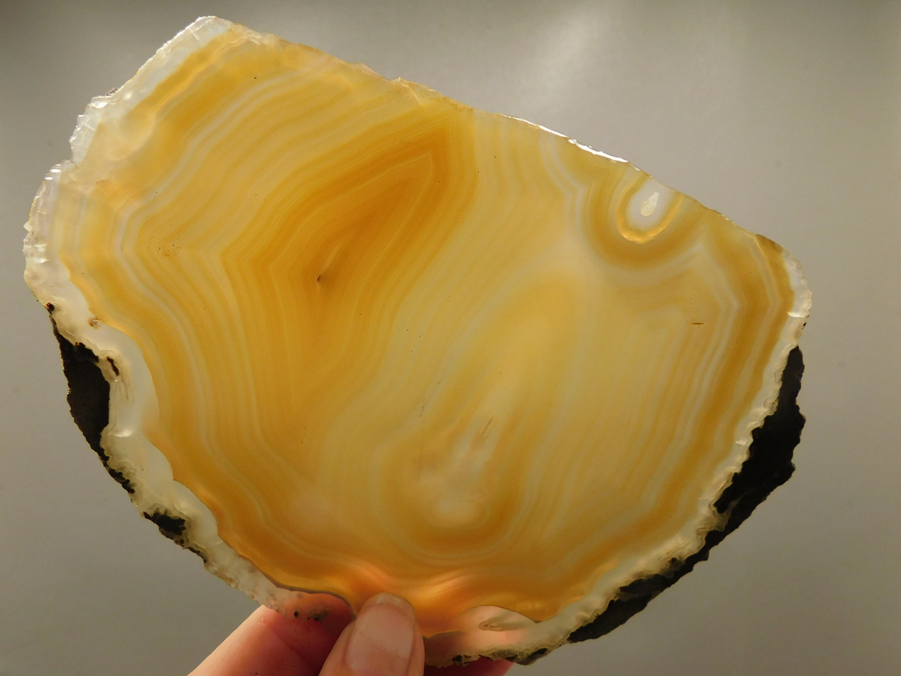 Brazilian Piranha Agate Stone Slab Lapidary Rough Rock #O9