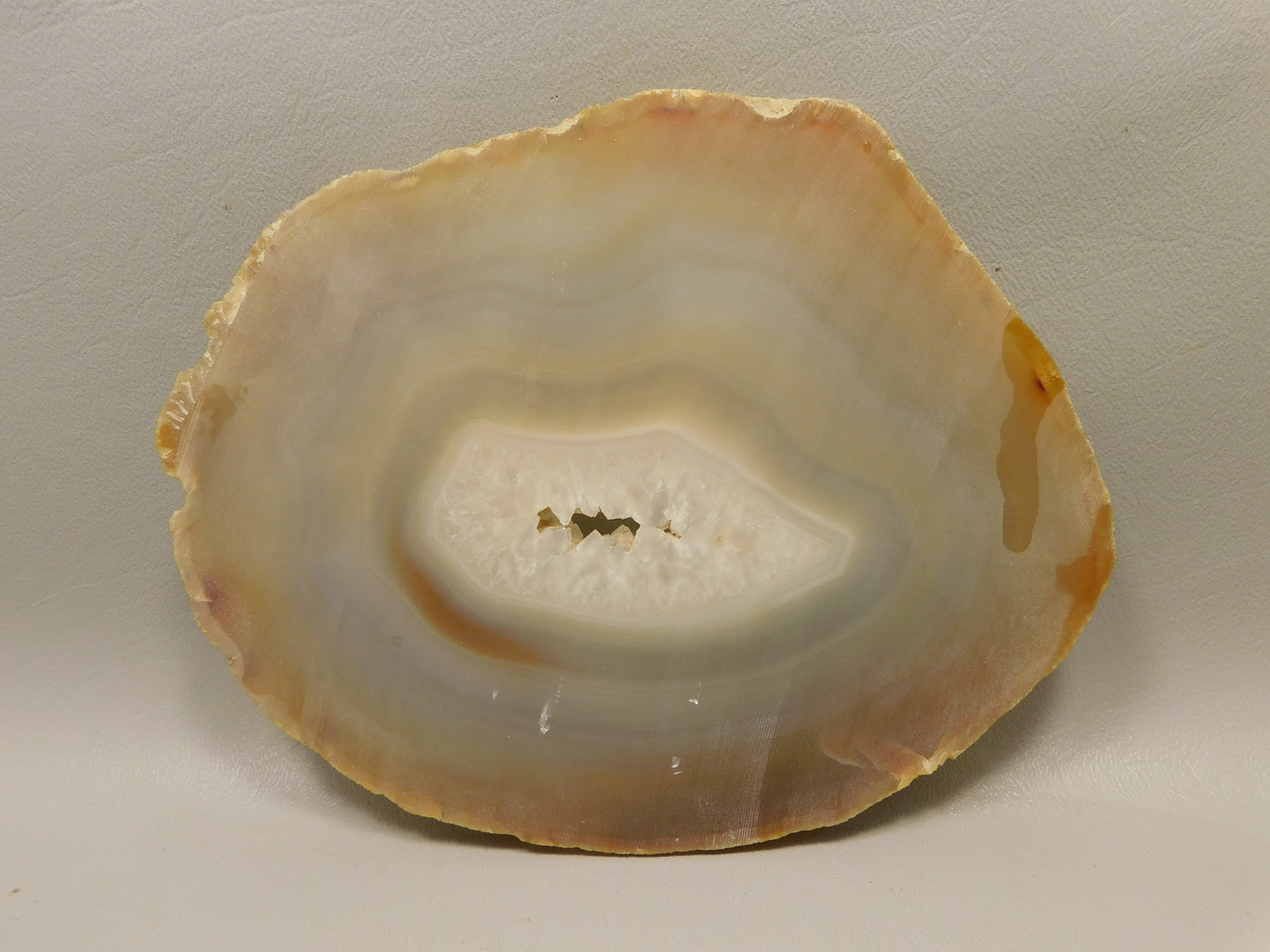 Brazilian Piranha Agate Stone Slab Lapidary Rough Rock #O8