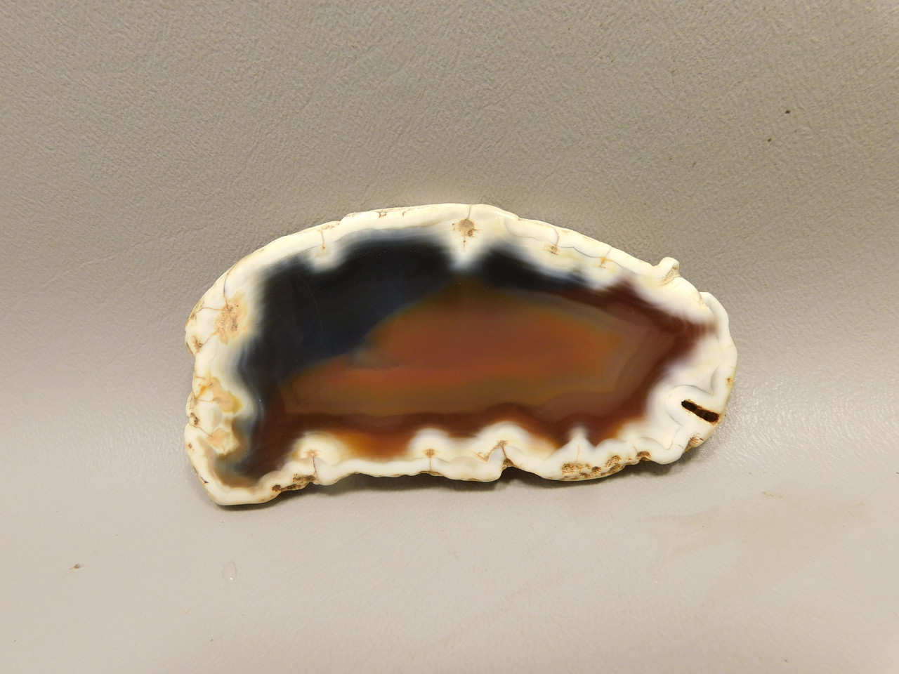 Brazilian Piranha Agate Stone Slab Lapidary Rough Rock #O8