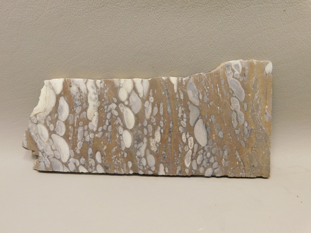 Mushroom Jasper Unpolished Rock Stone Slab Arizona #O1