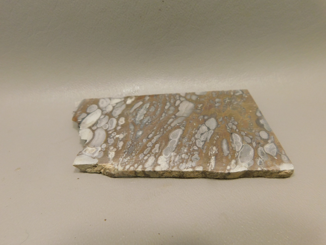 Mushroom Jasper Unpolished Rock Stone Slab Arizona #O4