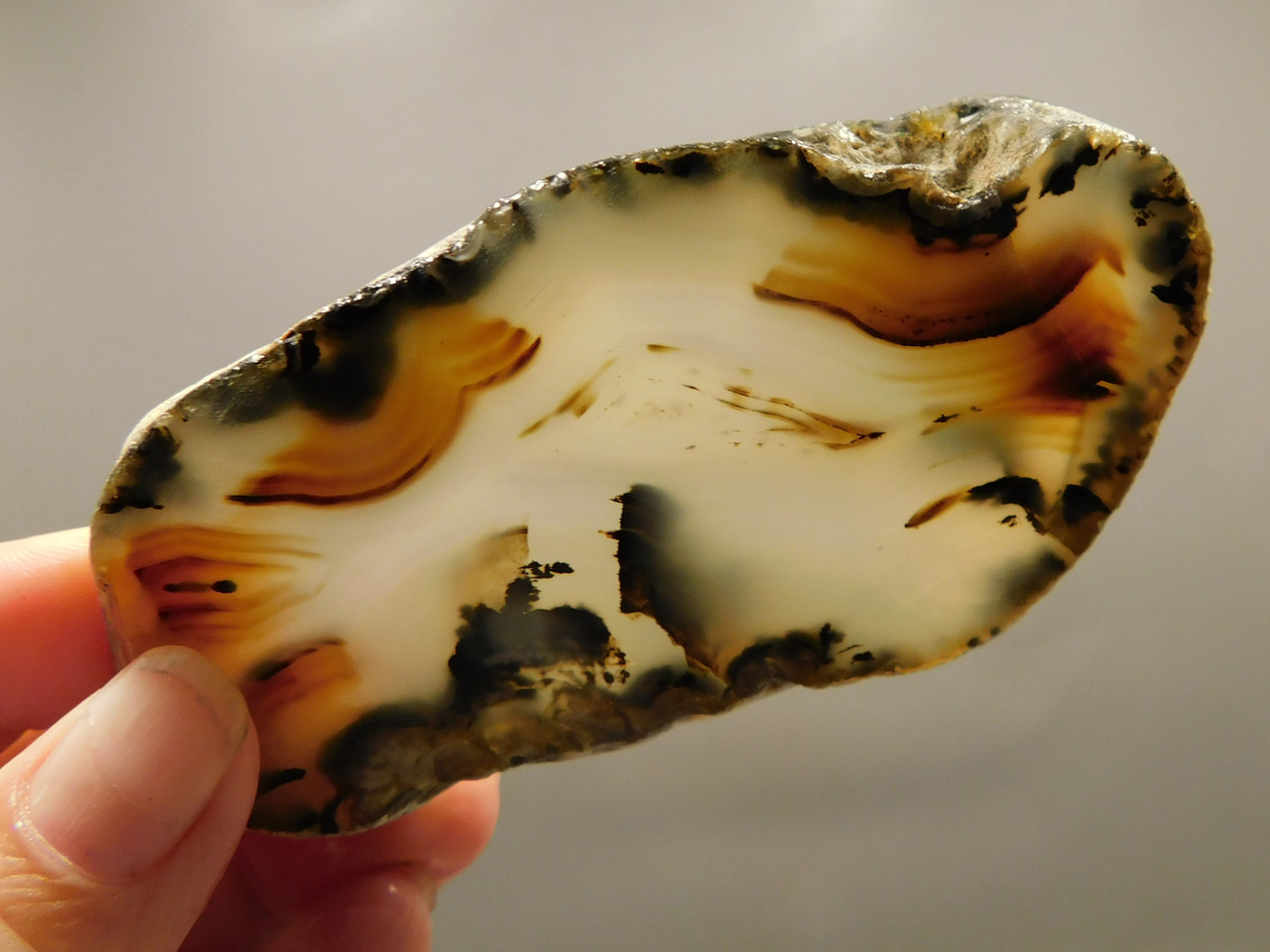 Montana Agate Stone Slab Lapidary Rough Rock #O4
