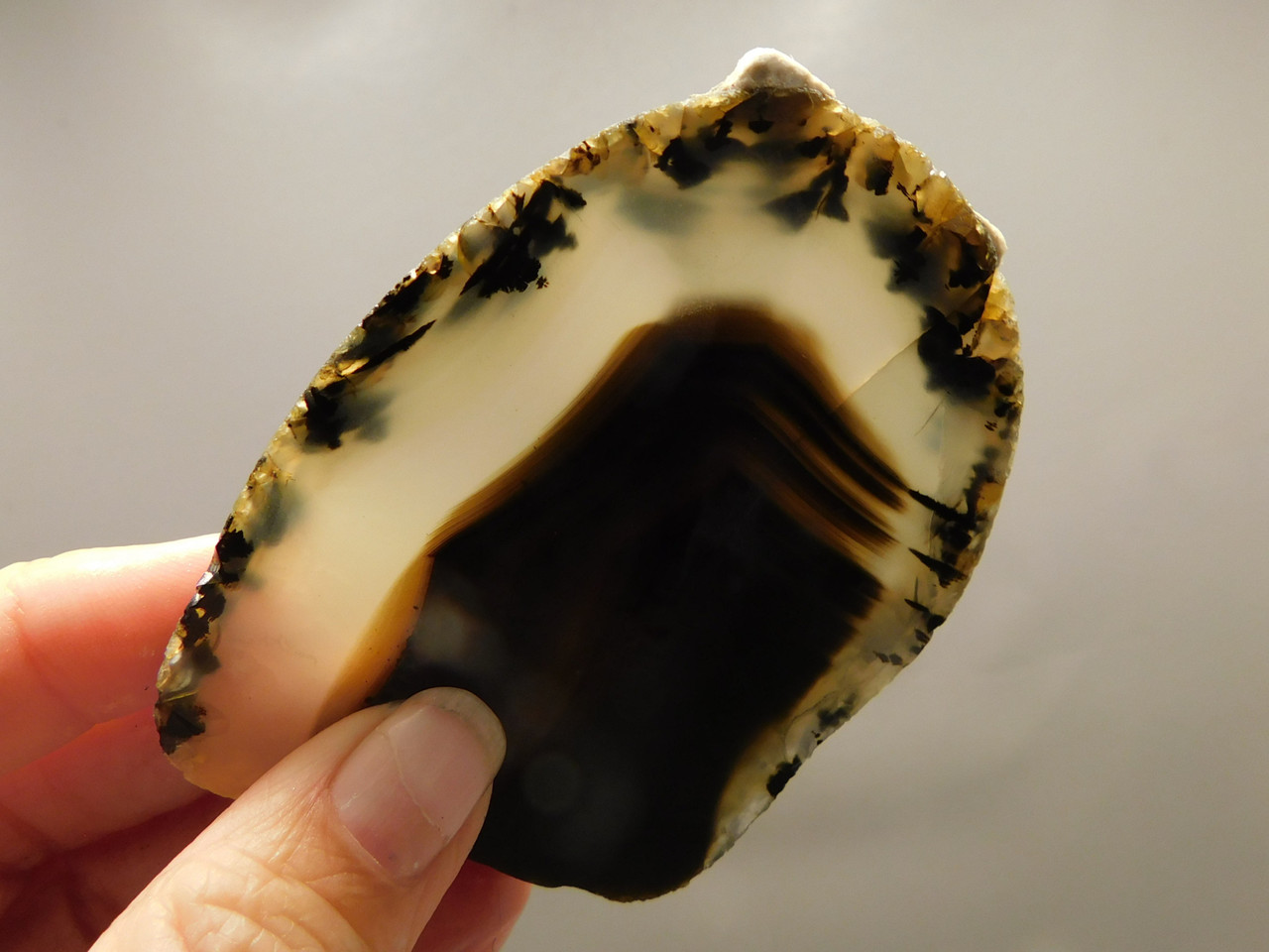 Montana Agate Stone Slab Lapidary Rough Rock #O5