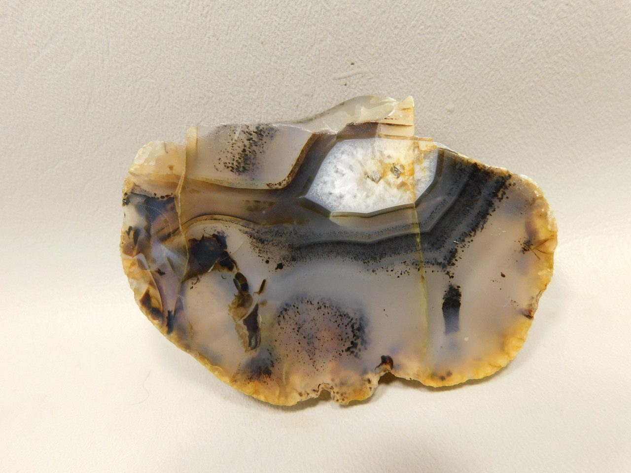 Montana Agate Stone Slab Lapidary Rough Rock #O6