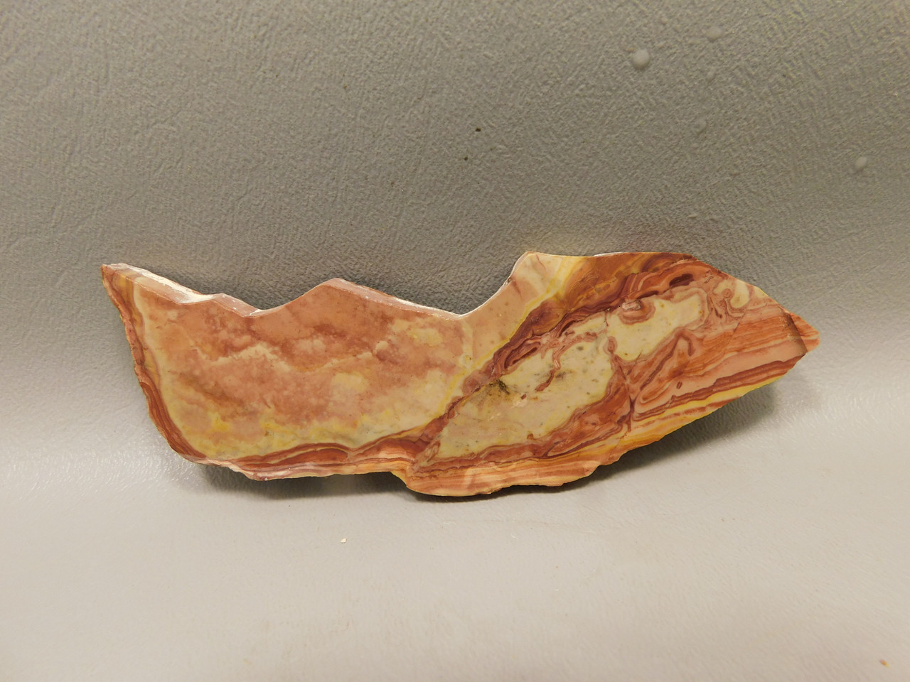 Wonderstone Rhyolite Rough Rock Stone Slab Nevada #O5