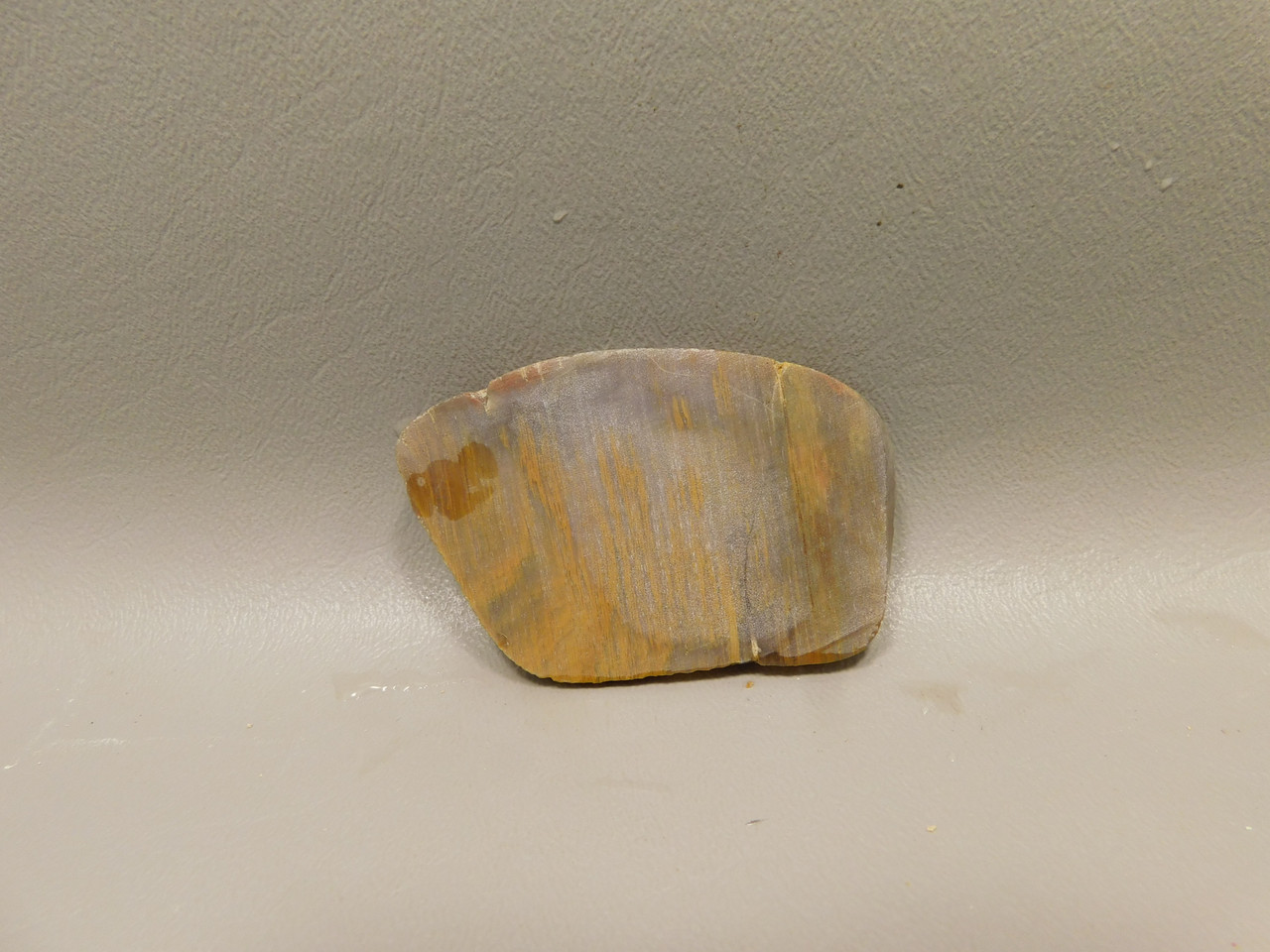 Petrified Wood Unpolished Stone Slab Grassy Mountain Oregon #O7