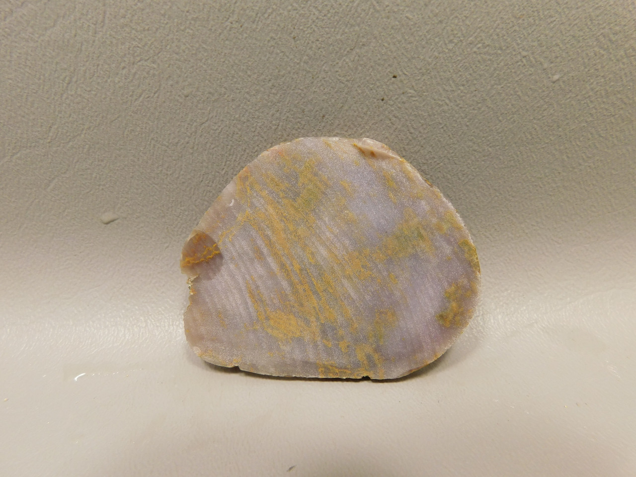 Petrified Wood Unpolished Stone Slab Grassy Mountain Oregon #O6