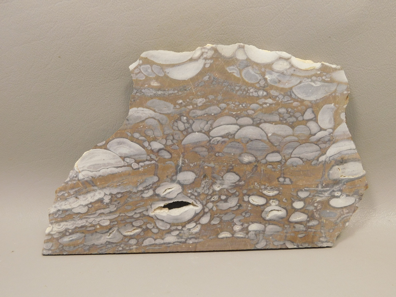 Mushroom Jasper Unpolished Rock Stone Slab Arizona #O5
