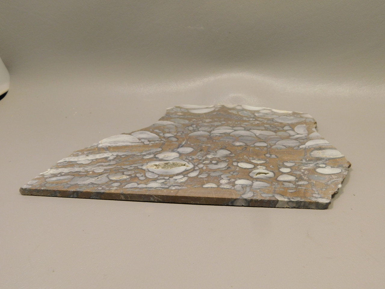 Mushroom Jasper Unpolished Rock Stone Slab Arizona #O5