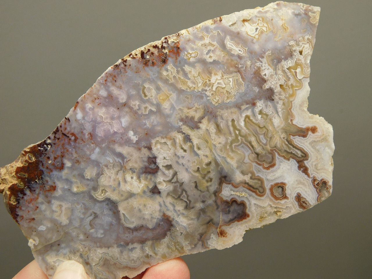 Red and Purple Crazy Lace Agate Polished Rock Stone Slab Mexico #O4