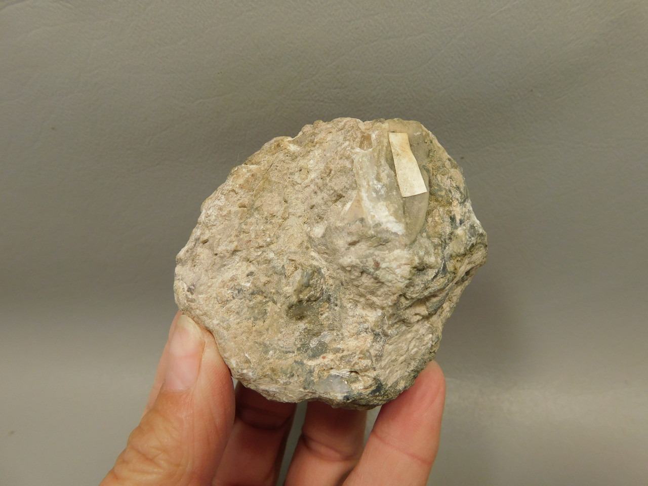 Dugway Thunderegg Polished Rock Geode Blue Agate #O22