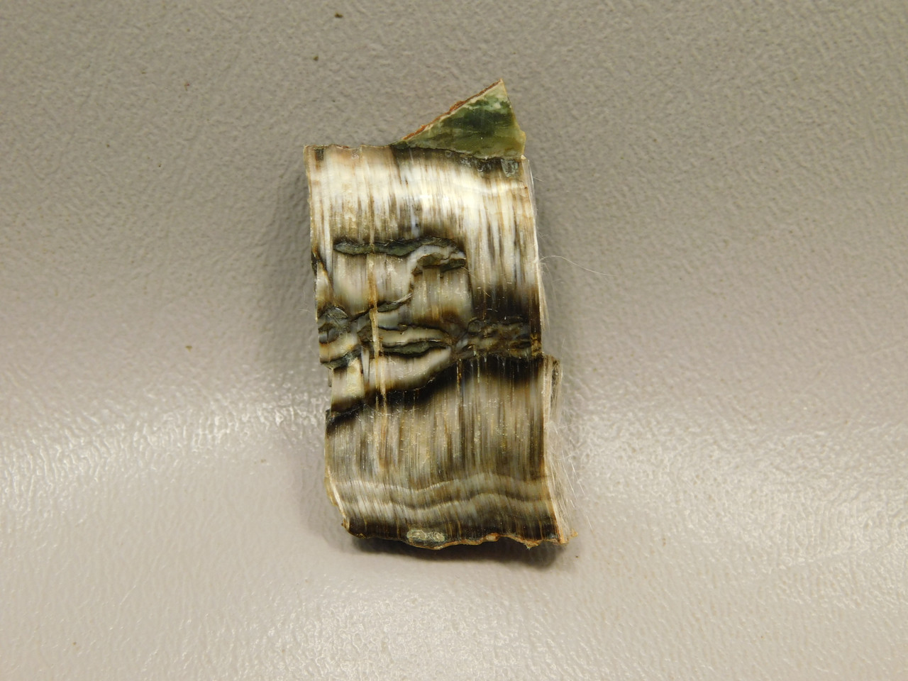 Arizona Pietersite Polished Stone Slab Chatoyant Tiger Eye #O14