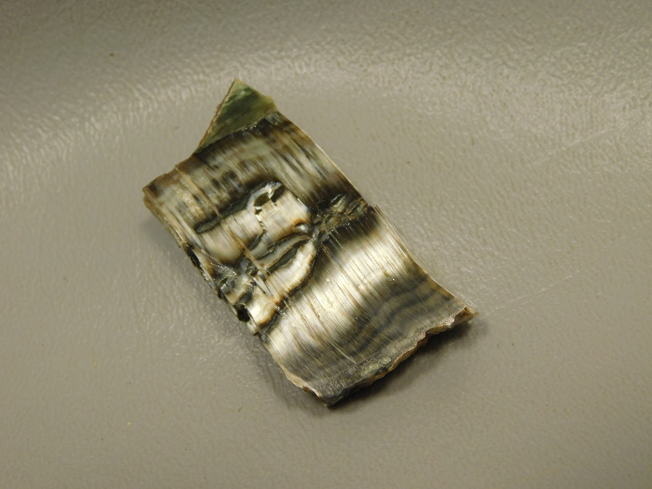 Arizona Pietersite Polished Stone Slab Chatoyant Tiger Eye #O14