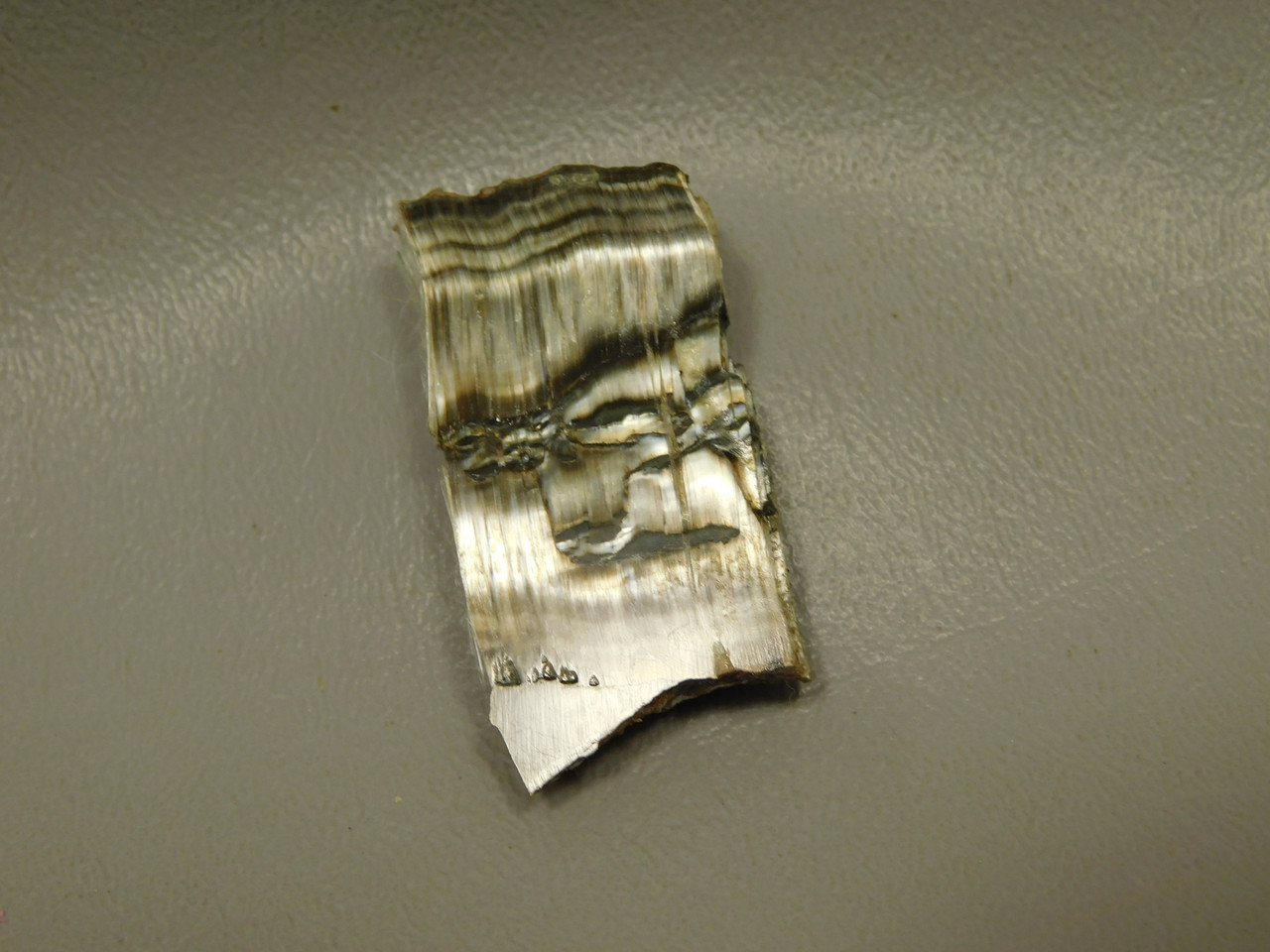 Arizona Pietersite Polished Stone Slab Chatoyant Tiger Eye #O14