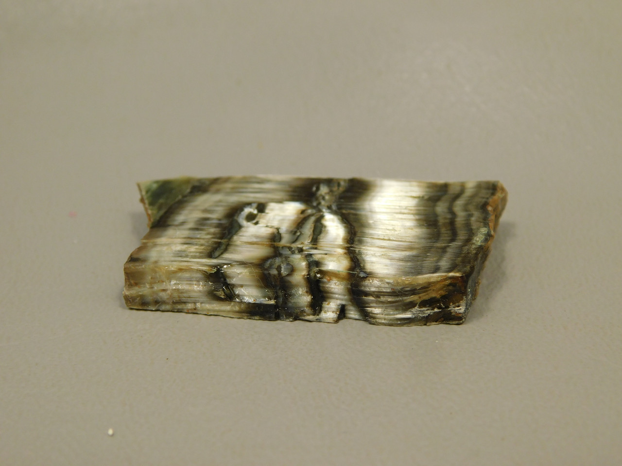 Arizona Pietersite Polished Stone Slab Chatoyant Tiger Eye #O14