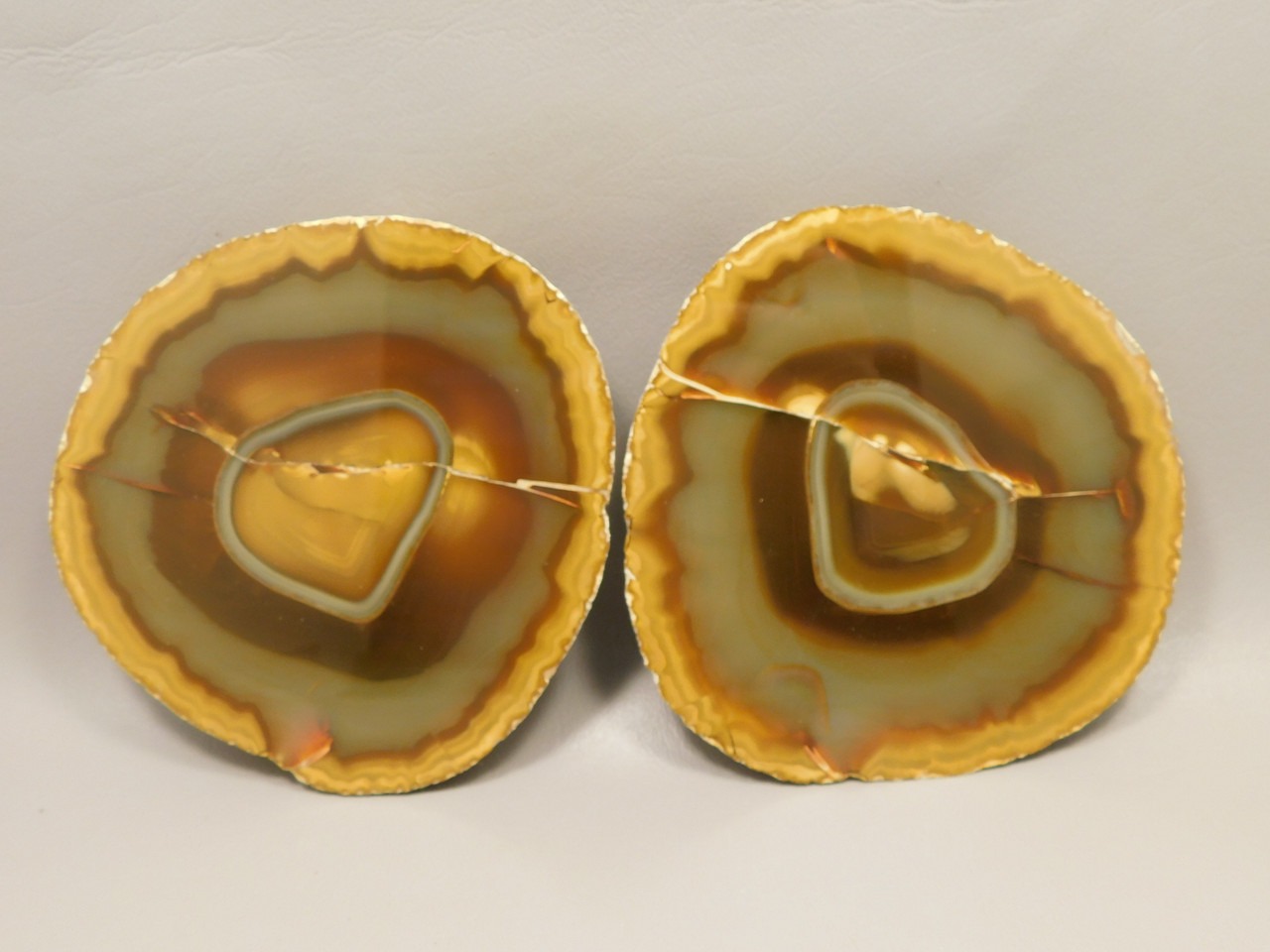 White Skin Brazilian Piranha Agate 2 Piece Polished Rock Heart #O30