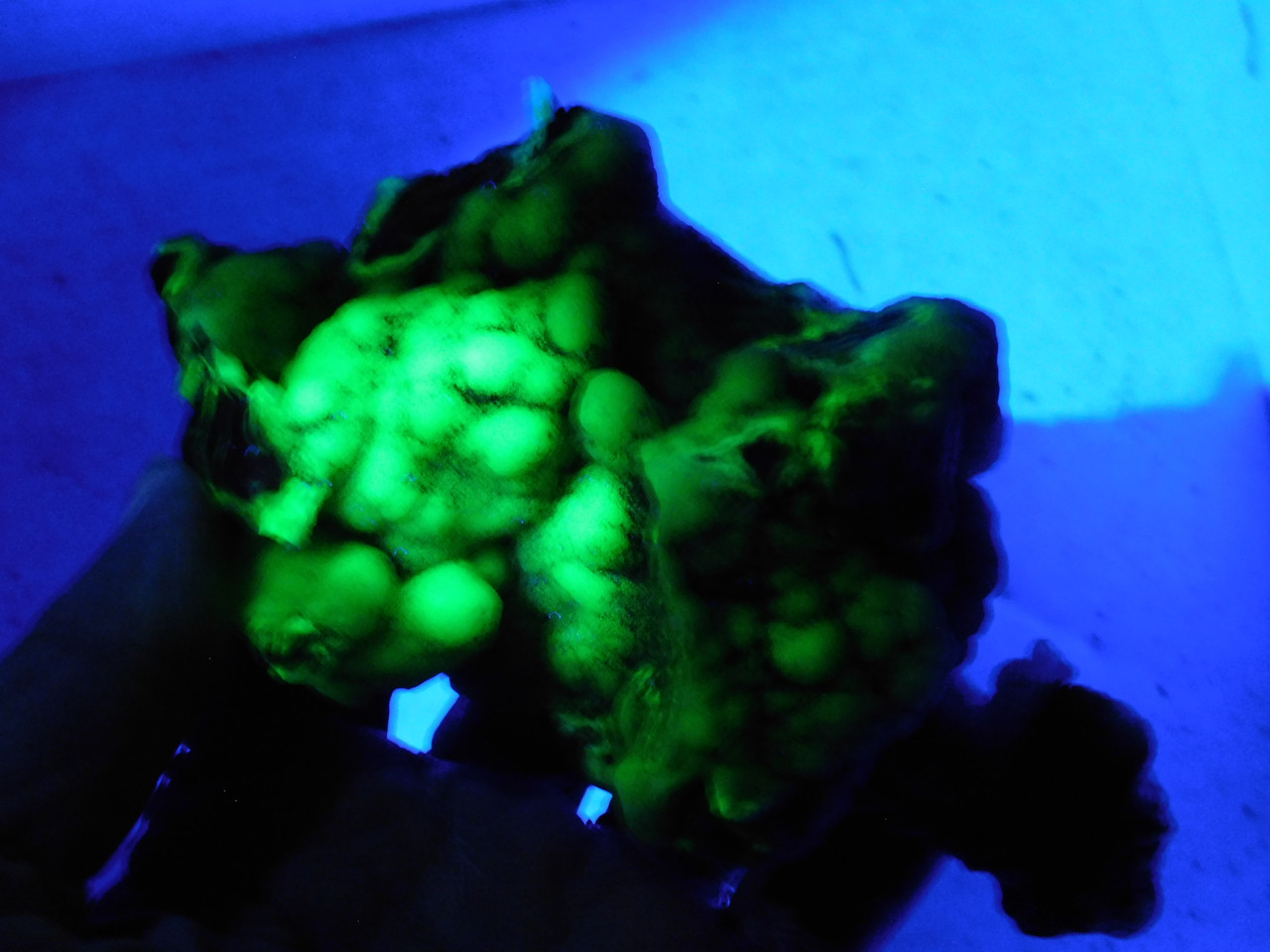 Youngite Rough Rock Fluorescent  Mineral Specimen Wyoming #O2
