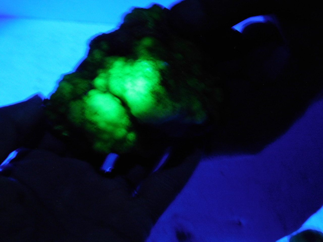 Youngite Rough Rock Fluorescent  Mineral Specimen Wyoming #O3