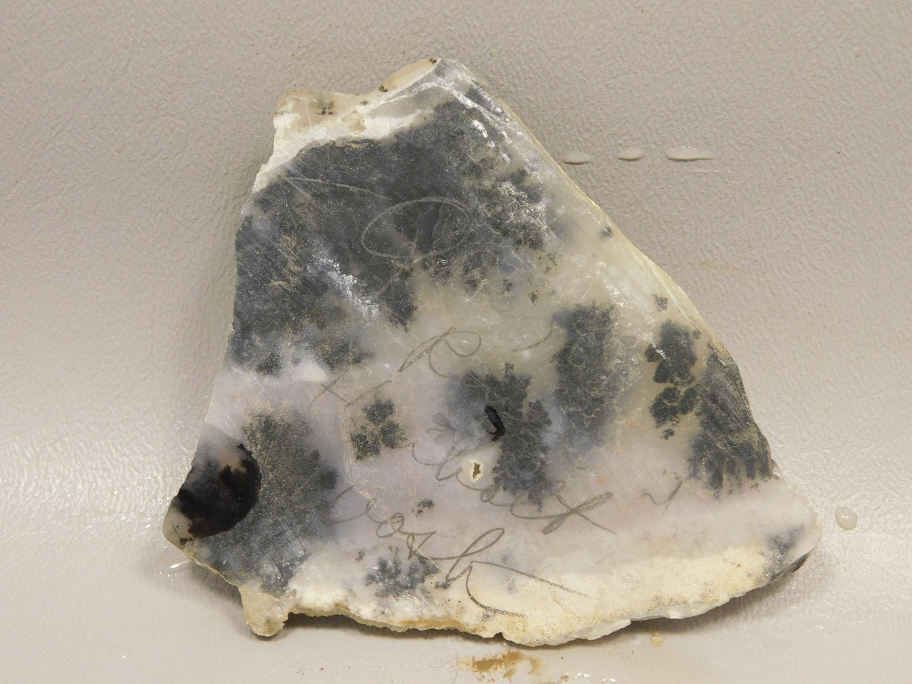 Plume Agate Stone Slab Unpolished Rock Nevada #O1