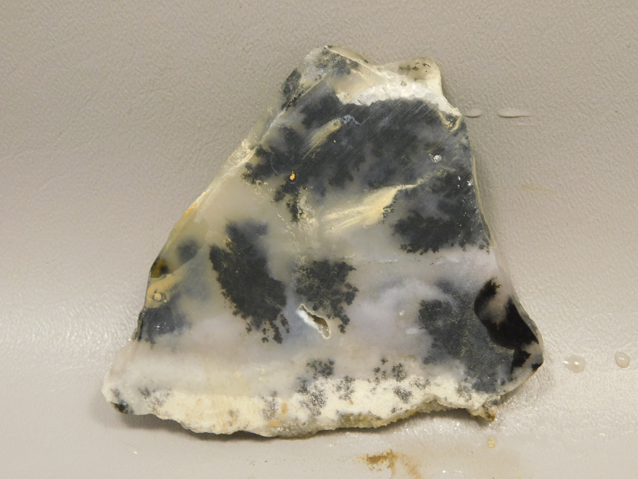 Plume Agate Stone Slab Unpolished Rock Nevada #O1