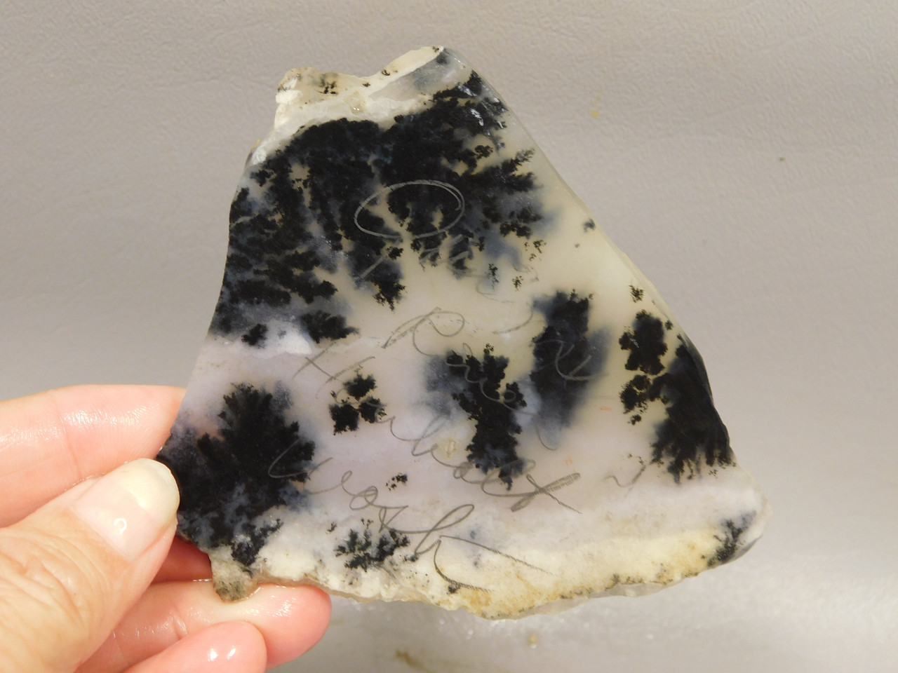 Plume Agate Stone Slab Unpolished Rock Nevada #O1